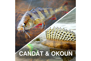Discounted Zander / Perch Sets