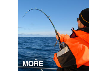 EVERYTHING FOR SEA FISHING