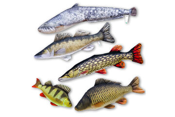 Fish pillows