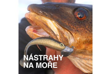 Sea fishing lures